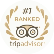 Altezza Travel – переможець премії Tripadvisor Travellers' Choice 2026