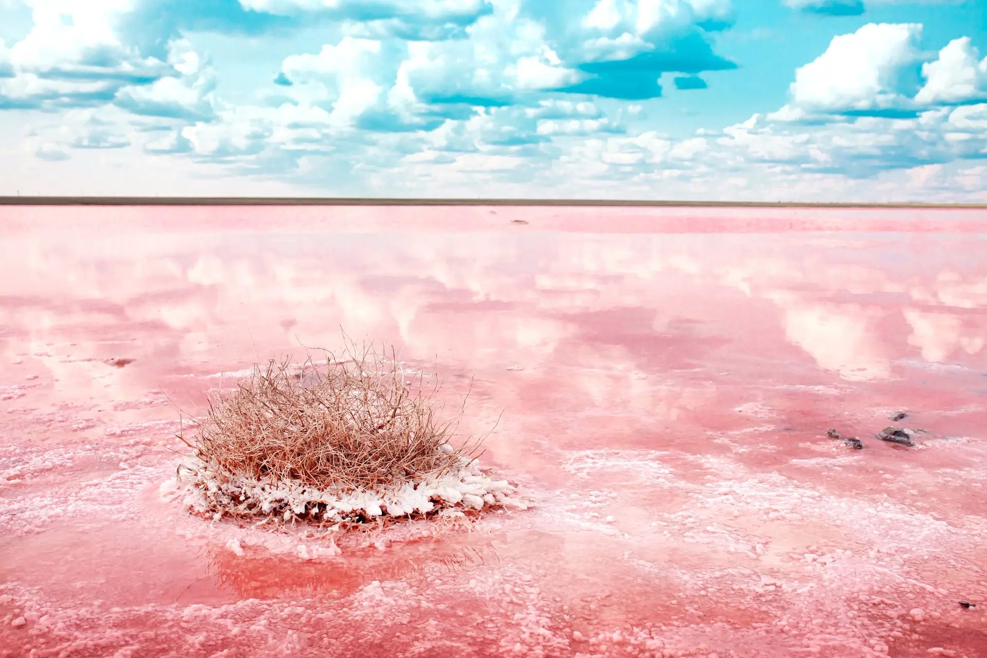 У сухий сезон озеро червоніє й вкривається сіллю. Фото: Vera Larina / Shutterstock