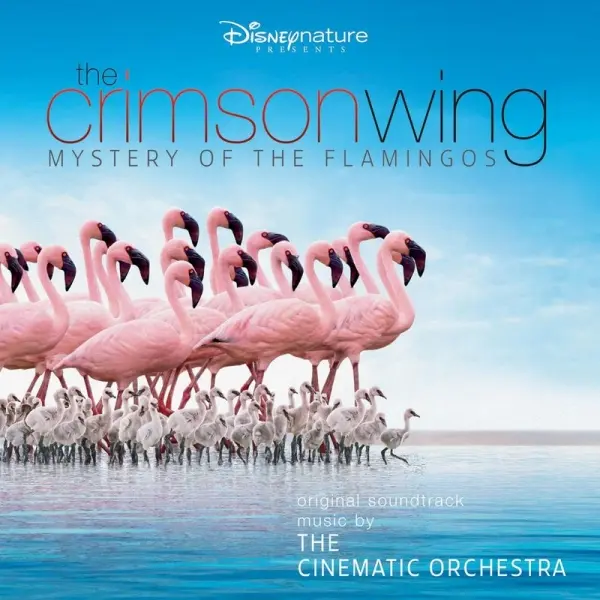 Обкладинка документального фільму «The Crimson Wing: Mystery of the Flamingos»