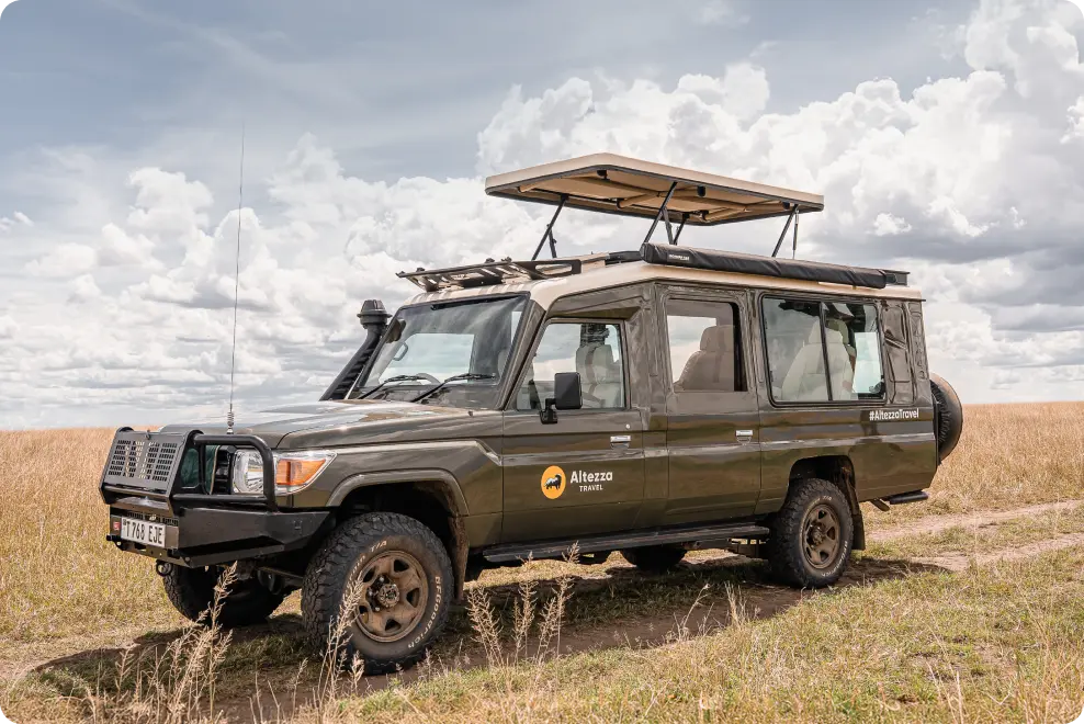 Сафарі-автомобіль Altezza Travel з відкидним дахом у танзанійській савані Сафарі-автомобіль Altezza Travel з відкидним дахом у танзанійській савані