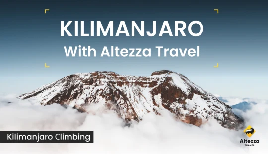 Сходження на Кіліманджаро: важлива інформація | Altezza Travel